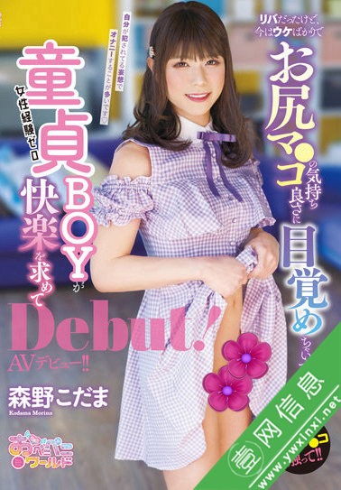 森野こだまOPPW-125作品详情-壹网信息