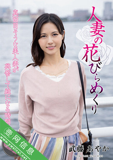 武藤绫香(武藤あやか)MYBA-059作品详情-壹网信息