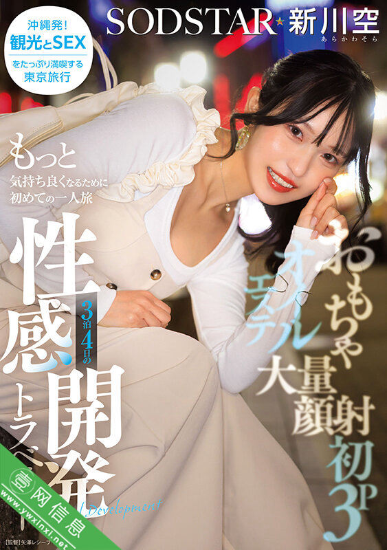 新川空START-389作品详情-壹网信息