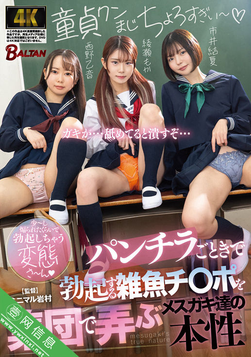 市井结夏、綾瀬もか、西野乙音BAGR-077作品详情-壹网信息
