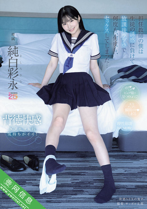 纯白彩永MIDA-530作品详情-壹网信息