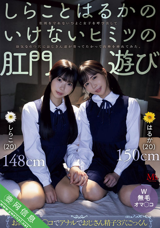 池内遥、白子(しらこ)MVSD-680作品详情-壹网信息