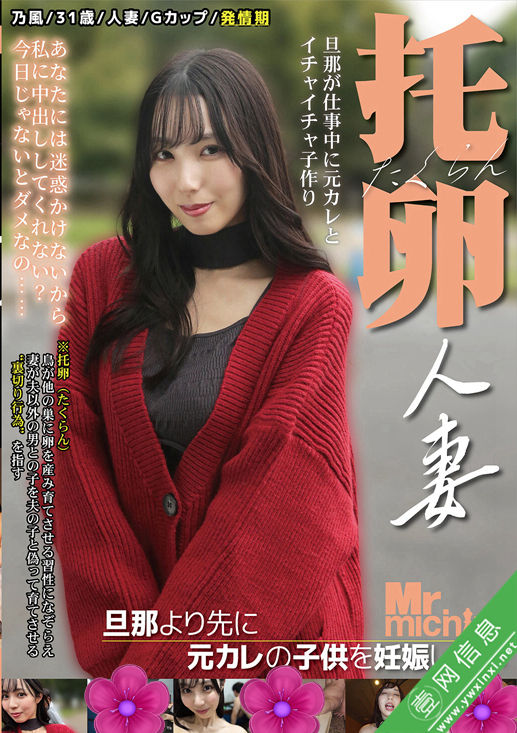 藤川乃風MIST-500作品详情-壹网信息