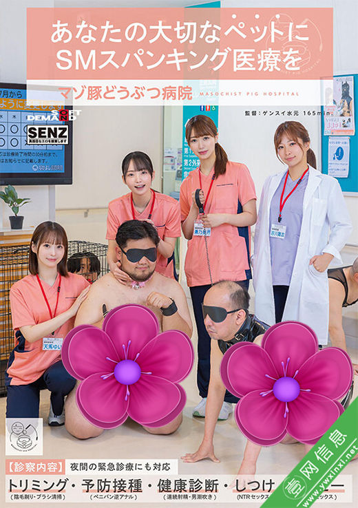 天马唯(天馬ゆい)、美之嶋惠理(美ノ嶋めぐり)、苍乃美月SDDE-764作品详情-壹网信息