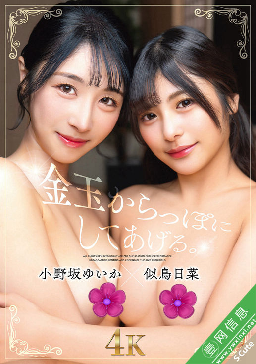 小野坂唯香(小野坂ゆいか)、似鸟日菜SQTE-667作品详情-壹网信息